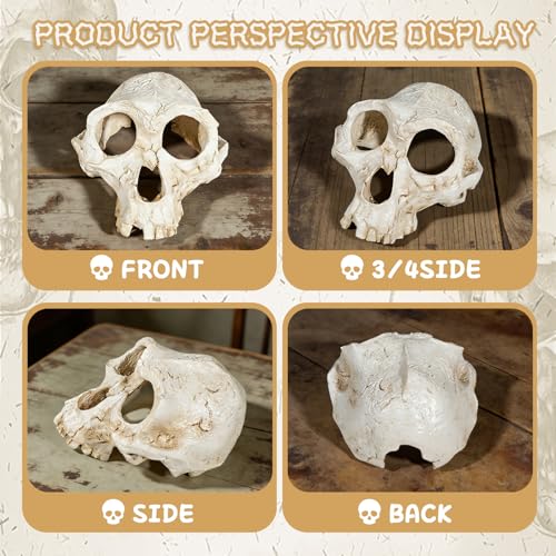 Wowagoga Resin Skull Cave Decor, Gothic Skull Terrarium Cave, Halloween Skeleton Cave Ornament, Aquarium Reptile Hideout, Desktop Home Office Spooky Decoration