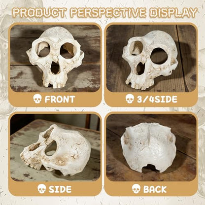 Wowagoga Resin Skull Cave Decor, Gothic Skull Terrarium Cave, Halloween Skeleton Cave Ornament, Aquarium Reptile Hideout, Desktop Home Office Spooky Decoration