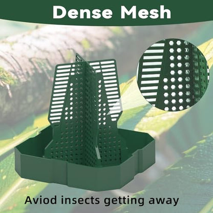 Chameleon Feeder Bearded Dragon Feeder for Mounted Insect with Rope and Tweezers, Tank and Aquarium Accessories for Lizard, Bearded Dragon, Gecko, Frog（Medium） - size: Medium