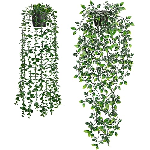 Der Rose 2 Pack Fake Hanging Plants Artificial Potted Plants Indoor and Outdoor for Office Living Room Bathroom Wall Shelf Decor - color: Black Pots-2pcs