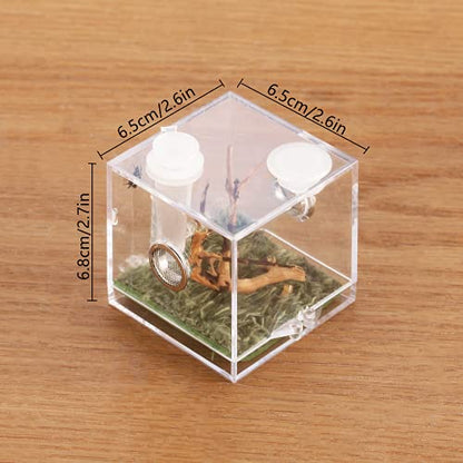 Jumping Spider Micro Big Habitat, Small Pet Insect Breeding Box, 360 Degree High Transparent Reptile Cage, Acrylic Case Mini Carrier for Amphibians, Feeding Container Enclosure Accessories - size: 2.6x2.6x2.7inches