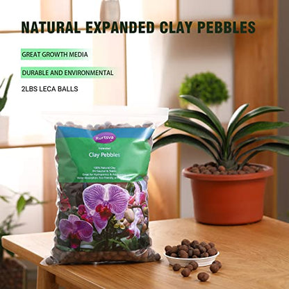 Natural Organic Clay Pebbles, 2LBS 8mm-18mm Expanded Leca Balls Plant Garden Soil, Grow Media for Hydroponics, Decoration, Aquaponics, Gardening Essentials - size: 2LBS