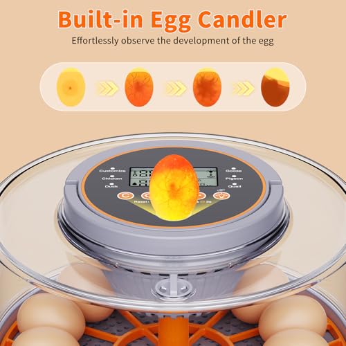 Egg Incubators for Hatching Eggs for Home, Classroom and Lab | 12 Incubator for Chicken Eggs,Duck,Goose,Quail,Snake,Egg Incubator with Automatic Egg Turning and Humidity Control