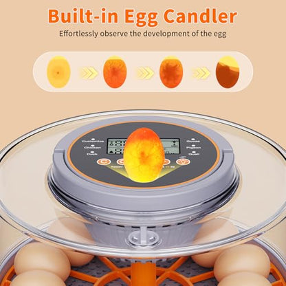 Egg Incubators for Hatching Eggs for Home, Classroom and Lab | 12 Incubator for Chicken Eggs,Duck,Goose,Quail,Snake,Egg Incubator with Automatic Egg Turning and Humidity Control