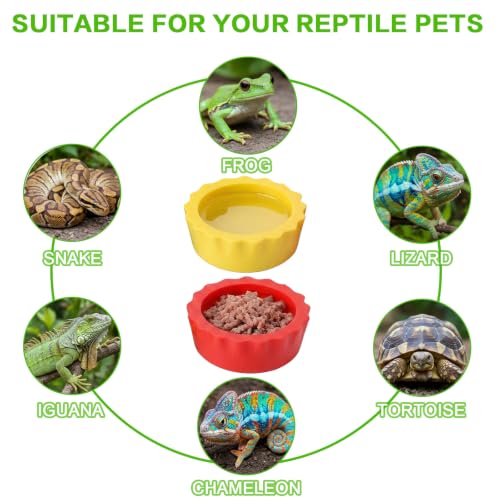 12 Pack Pangea Crested Gecko Food Dish, Reusable Small Reptile Feeding Dish, Water Bowl Gecko Tank Accessories for Hermit Crab Tarantula Isopods Snails Lizard(Silicone, 6 Colors)