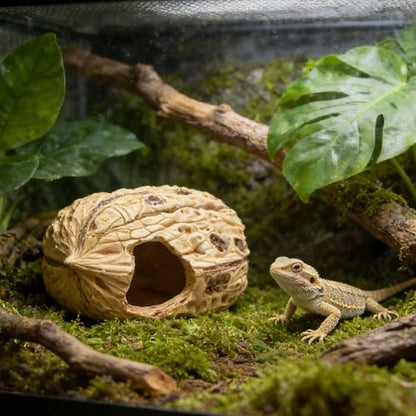 Reptile & Amphibian Habitat Hideouts, Resin Walnut - 7.09 × 4.92 × 3.94 inch Realistic Large Walnut Shape Habitat Decor, 2-Entrance Safe Hide for Leopard Gecko Bearded Dragon Snake