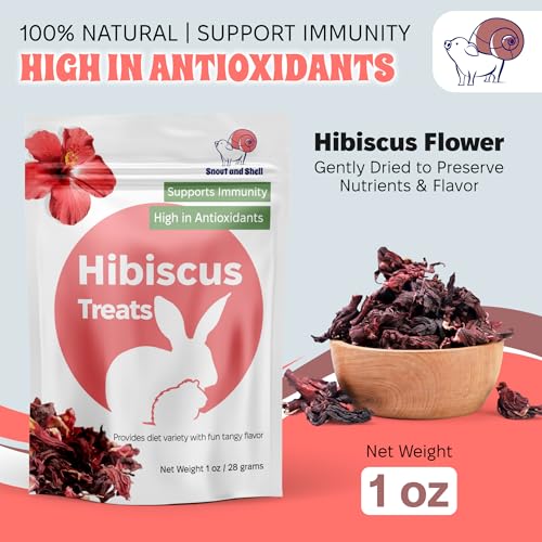 Snout and Shell Small Pet Mega Pack – 6 Natural Treats: Pea Flakes, Dandelion, Raspberry Leaf, Marigold, Rose Petals & Hibiscus – For Rabbits, Guinea Pigs, Chinchillas & More – Foraging & Health Boost