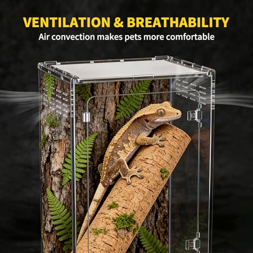 Reptile Tall Terrarium,11 Gollon Vertical PC Terrarium,12"x12"x18" Habitat Enclosure with Front Openning Door and Top Screen Ventilation for Geckos, Snakes,Tree Frogs,Chameleon,Bearded Dragons