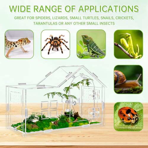 Acrylic Jumping Spider Enclosure, Jumping Spider Terrarium, Versatile Reptile Enclosure for Tarantula, Gecko, Hermit Crab Tank - color: transparent-A
