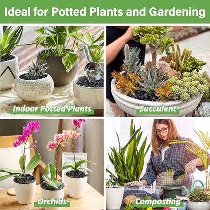 Legigo 2 QT Horticultural Charcoal & 4 Pack Organic Coco Coir Bricks- Soil Amendment Plant Potting Mix, Ideal for Orchids, Succulents, Terrariums, Indoor & Outdoor Gardening