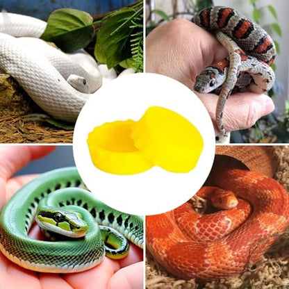 hhfvvda12 PCS Reptile Feeding Cup, Colorful Crested Gecko Food Bowl, Snake Water Dish, Bearded Dragon Terrarium Accessories