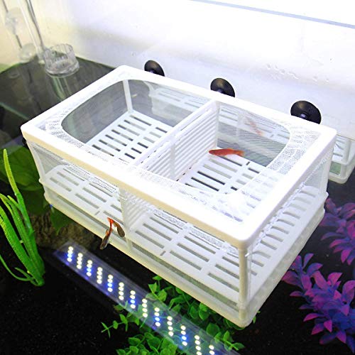 Senzeal Aquarium Fish Breeder Box Fish Fry Hatchery Incubator Net Nylon Isolation Mesh with 3pcs Pipette (Large) - size: Large