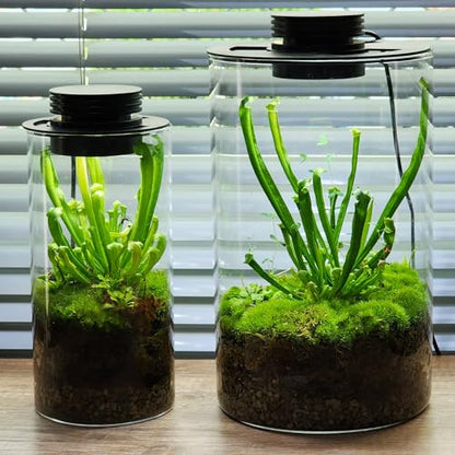 Glass Terrarium Plant Growing Lamp, for Vases Up to 5.9 Inches in Diameter, Light with Timer Auto On/Off, Betta Fish Tank, Indoor Plant Growth, Succulent, Miniature Gardening Landscape (10W 5.9IN) - size: 10W 5.9IN