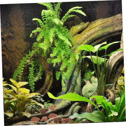 POPETPOP 1bag Reptile Enclosure Bark Chips Decorative Terrarium Substrate Safe Lizard Tank Bedding Natural Tree Bark Decor