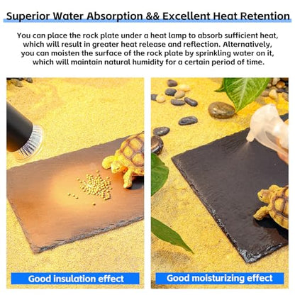 Natural Slate Basking Platform for Reptiles Bearded Dragon Tortoise Turtle Habitat Accessory Heat Retention, Anti-Slip Design, Feeding Tray Functionality, and Superior Water Absorption (8'' x 6'') - size: 8'' x 6''