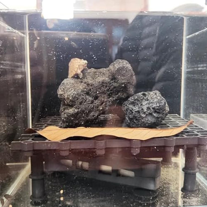 Tfwadmx 10 Pack Aquarium Black Lava Rock Fish Tank Volcanic Pumice Stones for Betta Fish Shrimp (1.96''-3.14'') - color: Black, size: L:2''-3.2''