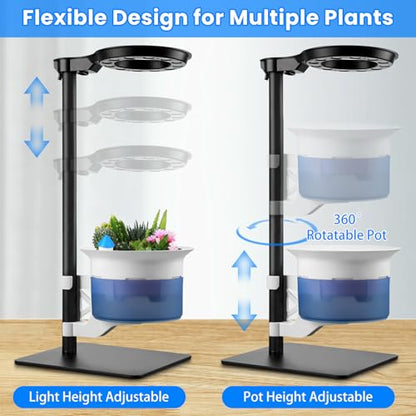 Large Venus Fly Trap Terrarium Kit with Grow Light Timer& Adjustable Metal Stand, African Violet Self Watering Planter Pot for Herbs,Carnivorous Plants,Christmas for Dad Garden Lover
