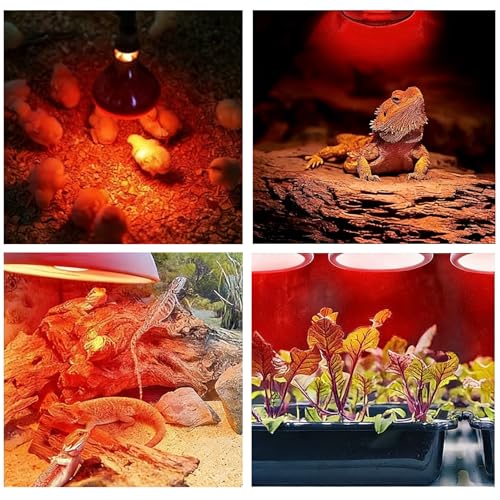 150W Chicken Heat Lamp Bulbs, Infrared Heat Lamp for Chickens, Heat Light Bulb for Brooder Coop, Food Service, Chicks, Pet, Reptile (4 Pack) - size: 4 Pack