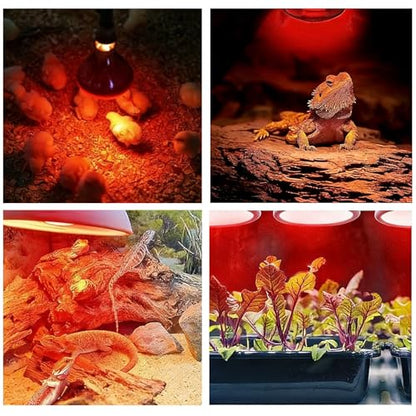 150W Chicken Heat Lamp Bulbs, Infrared Heat Lamp for Chickens, Heat Light Bulb for Brooder Coop, Food Service, Chicks, Pet, Reptile (4 Pack) - size: 4 Pack