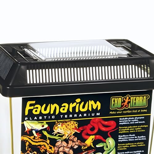 Exo Terra Faunarium Small PT2255 – Plastic Reptile Terrarium and Transport Container for Lizards, Spiders & Amphibians - size: Small
