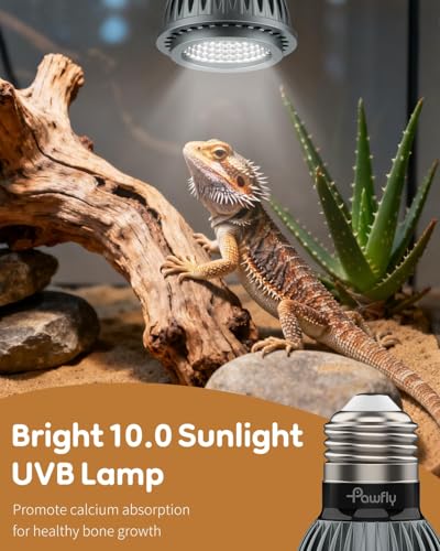 Pawfly UVB Light for Reptiles, 3 W 10.0 UVB Bulb, Desert Reptile UVA UVB Lamp for Calcium & Vitamin D3 Synthesis, High Intensity LED Lamp for Bearded Dragon, Tortoise & Lizard - size: 3 W 10.0 UVB