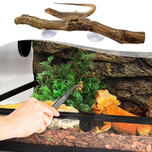 Reptile Climbing Stick – Flexible Snake Climbing Branch, Natural Tank Decor Vine | Terrarium Setup Branch Decoration, Habitat Enrichment for Tree Frogs, Lizards, Geckos, Chameleons, Iguanas