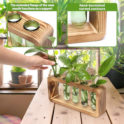 Glass Plant Propagation Station with 5 Test Tubes Colorful Planter Vase Birthday Gifts for Women in Wooden Stand - color: Green