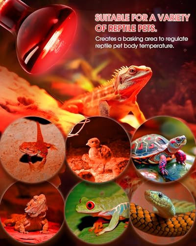 Flaspar 100W Reptile RED Heat Lamp Bulbs, Reptile & Amphibian Basking Spot Light Bulbs for Chickens Coop Pets Brooder Bearded Dragon Lizard Tortoise Use, Pack of 2 - color: Red