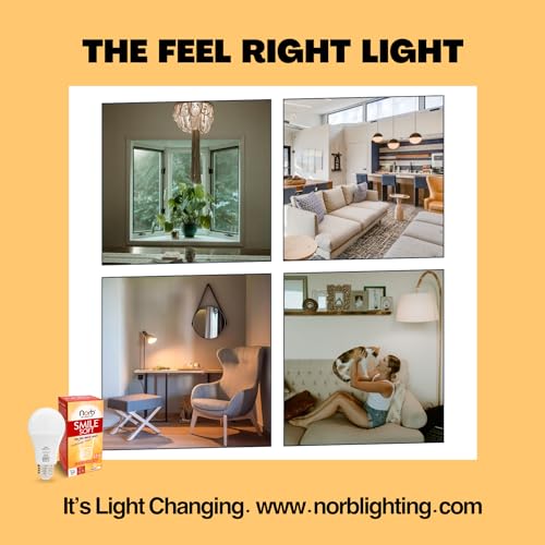 Norb NorbSMILE Soft Full Spectrum Light Bulb | US Patented | A19 LED Bulb & 11W 800 Lumens | 4000K Soft Daylight White, CRI 96 & Dimmable E26 Base | Supports Energy, Mood & Circadian Rhythm - style: Smile Soft 11W (1 Pack)