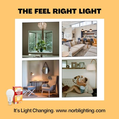 Norb NorbSMILE Soft Full Spectrum Light Bulb | US Patented | A19 LED Bulb & 11W 800 Lumens | 4000K Soft Daylight White, CRI 96 & Dimmable E26 Base | Supports Energy, Mood & Circadian Rhythm | 4 Pack - style: Smile Soft 11W (4 Pack)