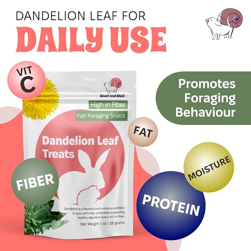 Snout and Shell Dandelion Leaf Treat for Small Pets – 1 oz (28g) | High-Fiber, Natural Foraging Snack for Rabbits, Guinea Pigs, Chinchillas, Squirrels & More