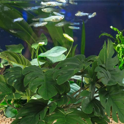 BESPORTBLE 2pcs Artificial Hanging Plant Pendant with Suction Cup for Reptile Terrarium Habitat Decor, 46 Leaves Monstera and Sweet Potato Vine Simulated Plastic Plants for Amphibians