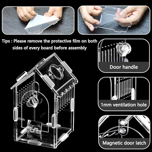 House-Shaped Acrylic Insect Terrarium & Reptile Habitat - Multi-Purpose Insect Enclosure for Jumping Spiders - Clear Acrylic Insect Cage with Ventilation, Easy Maintenance - size: Acrylic House