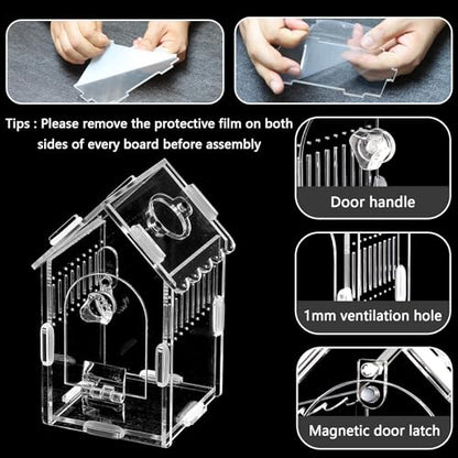 House-Shaped Acrylic Insect Terrarium & Reptile Habitat - Multi-Purpose Insect Enclosure for Jumping Spiders - Clear Acrylic Insect Cage with Ventilation, Easy Maintenance - size: Acrylic House