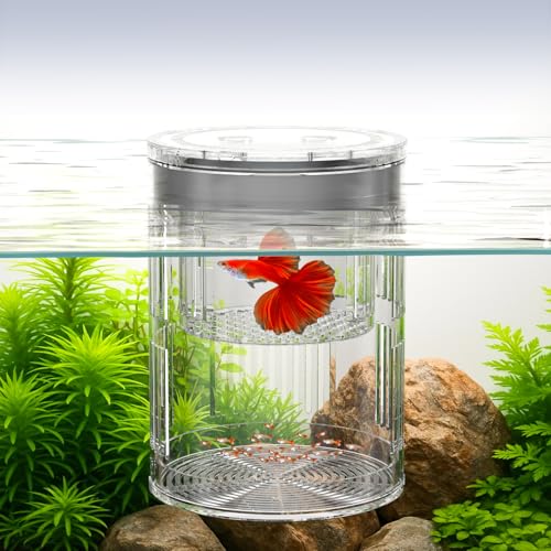 Floating Acrylic Breeder Box for Fish Tank - Aquarium Isolation Separator Hatchery Incubator for Guppy, Betta, Clownfish, Coral, Baby & Injured Fish - size: Large