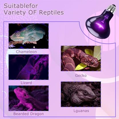 100W Reptile Night Light Bulb, UVA Heat Lamp – Simulated Natural Moonlight Purple Basking Bulb for Bearded Dragon, Lizard, Snake, Turtle, Chameleon, Amphibians, Aquarium & Terrarium Use - color: Purple Moonlight, size: 100W-3.15″