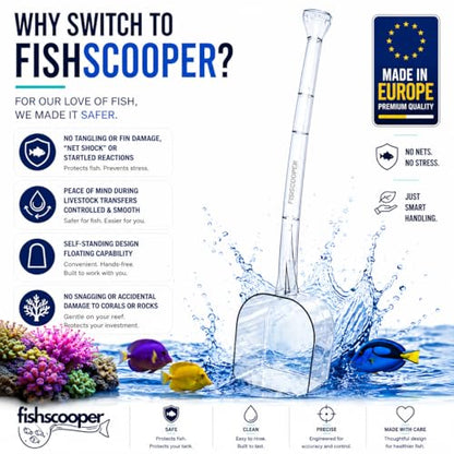Fish Scooper, Acclimation Container, Fish Trap, Floating Fish Net, Axolotl Tank Accessories, Aquarium Cleaning Tools, Photography, Tool, Aquarium Accessories, Breeder Box