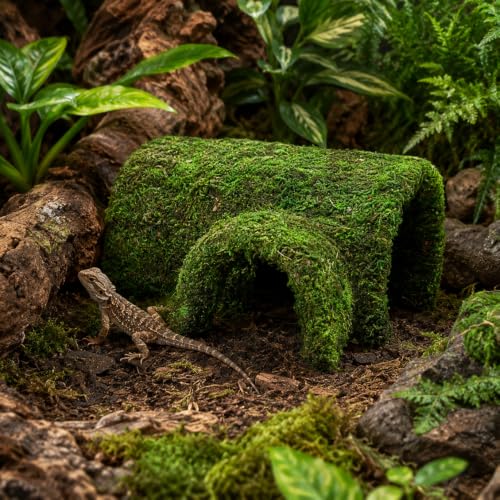Mossy Reptile Hide for Terrariums, T-Shaped Cave with Dual Openings for Leopard Geckos, Small Lizards, Frogs, Hermit Crabs and Small Snakes, 7.1 in