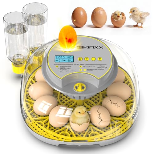 Incubator for Hatching Eggs-12 Egg Capacity, 2026 Newly Upgraded Automatic Egg Turner, Temperature & Humidity Control, 360° Viewing for Chicken, Duck and Quail Eggs (Grey) - color: Grey, size: 12 Egg