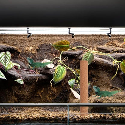 Natural Wood Platform for Turtle Tank and Small Animal Climbing Stand with Sturdy Material and Exercise Aid, Decorative Reptile Climbing Branch for Homes and Pet Shops