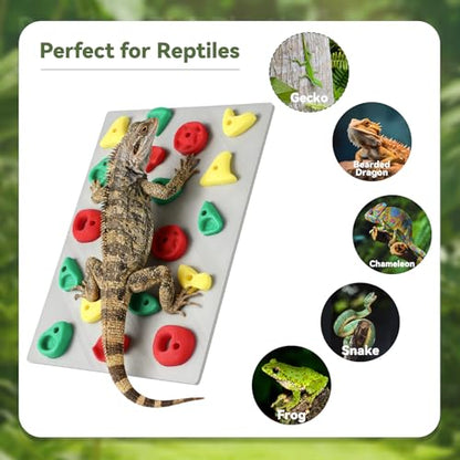 MITCHENIFY Climbing Wall for Reptiles, Reptile Tank Terrarium Accessories Habitat Decor for Bearded Dragons, Leopard Geckos, Lizards, Snakes, Tree Frogs, Amphibian Paludariums Enclosure Supplies