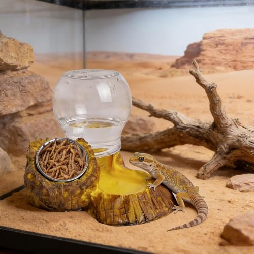 Reptile Feeder,Feeding Drinking Dish for Reptile,Leopard Water and Food Bowl - for Enclosure Terrarium Turtle Tortoise Snake Bearded Dragon Lizard Chameleon Leopard