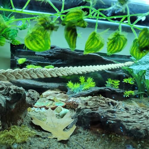2 Pack 25.6" Hermit Crab Climbing Toys, Hanging Hermit Crab Rope Ladder, HermitCrab Supplies, Reptile Vines Toys, Reptile Tank Terrarium Accessories, Habitat Decor for Leopard - size: 25.6 Inch