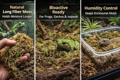 Sphagnum Moss Substrate for Reptiles & Terrariums (1)
