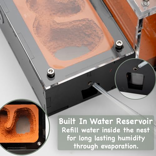 Terra Core Small Progressive Formicarium Ant Nest with Starter Kit - size: Terra Core Series - Small Progressive