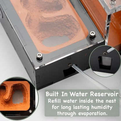Terra Core Small Progressive Formicarium Ant Nest with Starter Kit - size: Terra Core Series - Small Progressive