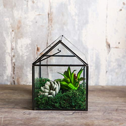 House Shape Close Glass Geometric Terrarium Tabletop Succulent Plant House Garden Planter Moss Fern Swing Lid, Flower Pot for Plants Succulent, Air Plant (Black) - color: Black