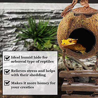 SunGrow Crested Gecko, Snake & Ball Python Coco Hut, Treat & Food Dispenser, Climbing Porch, Hiding, Ideal for Reptiles, Amphibians (with Ladder)
