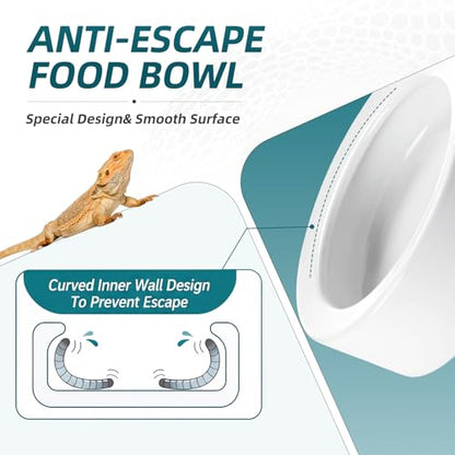 Meanplan 4 Pcs Reptile Bowl Food Dish Reptile Water Food Feeding Dish Ceramic Worm Pet Bowl Anti Escape Feeder for Lizard Anoles Chameleon Bearded Dragon Hermit Crab (4.92 Inch) - size: 4.92 Inch