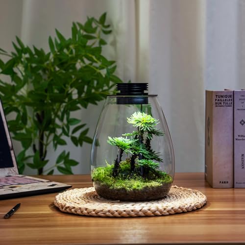 Desktop Glass Terrarium with Grow Light (H:7.8" D:6.7"), for Succulent, Moss, Miniature Gardening Landscape, Betta Fish Tank, Indoor Plant Growth, Office Home Decoration, Plant Lovers Gifts